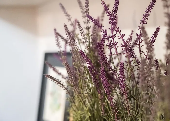 Mirone - Centro Catánia